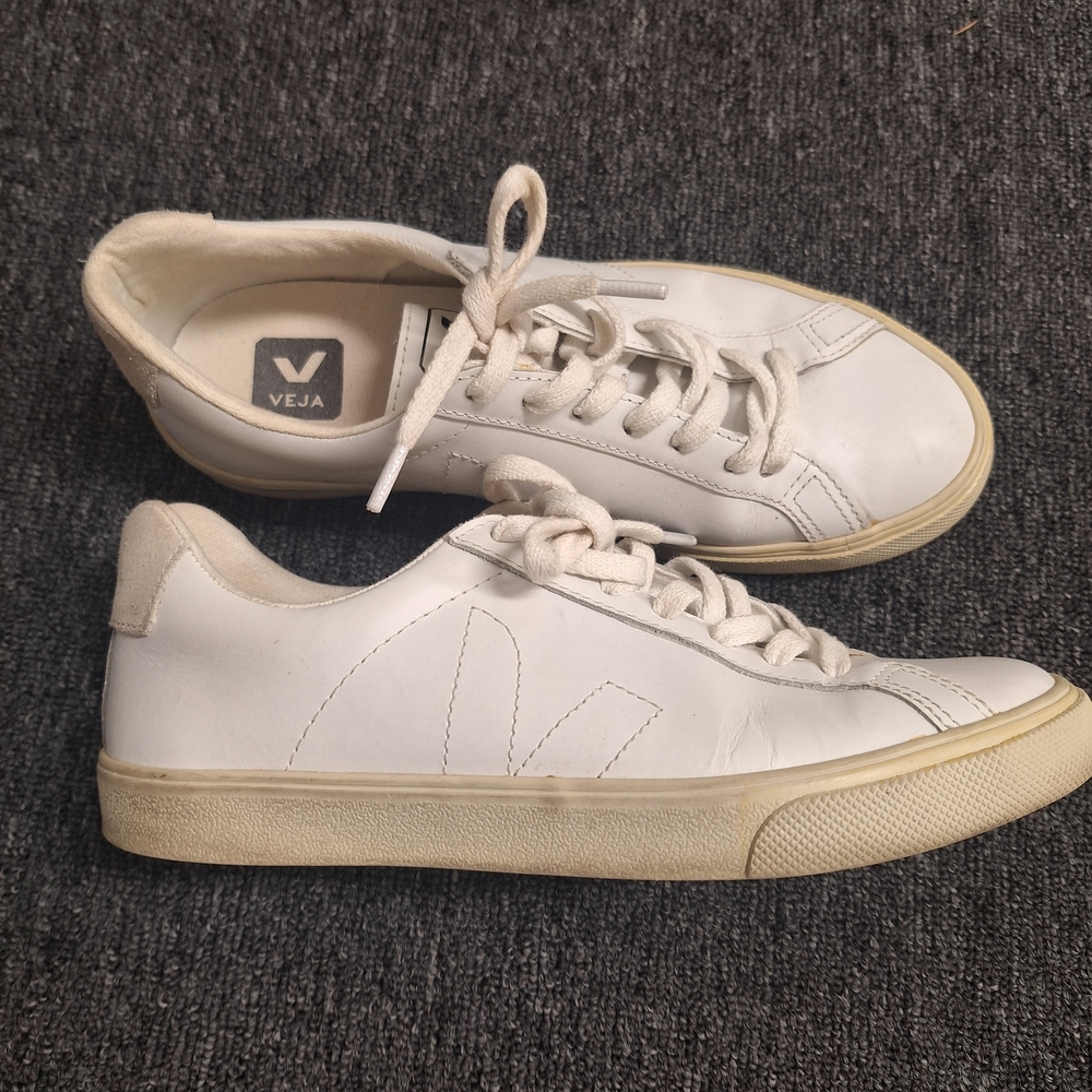Veja Men's White Sneakers
